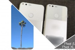 Pixel X and Pixel XL are the rumored 2017 flagship phones from Huawei. 