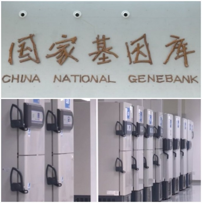 A glimpse of the new China National GeneBank