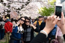 Chinese tourists in Tokyo.   
