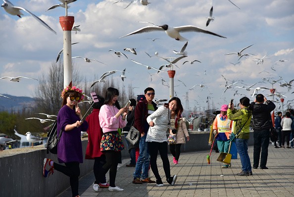 Tourists Play With Seagulls In Kunming
