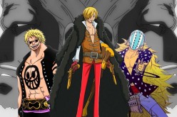 The Vinsmoke Family is a powerful and infamous family of Underworld killers from which Black Leg Sanji hails.