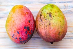 The Chinese Market Welcomes Ecuadorian Mangoes 