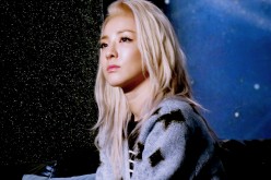 2NE1 Dara sad over disband news
