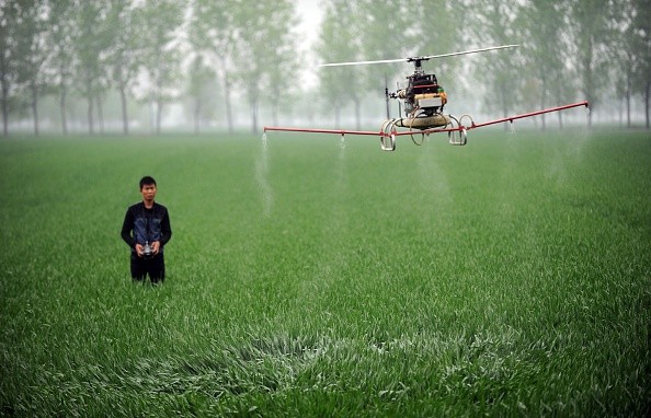 A man controls a drone spraying pesticides on crops on a farm in Bozhou in Anhui Province.