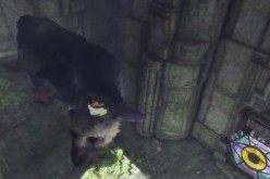 Trico and the boy seen in the game 