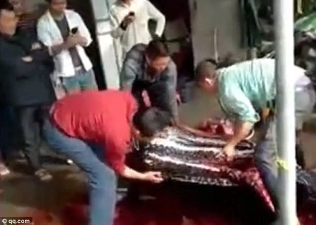 Fisherman caught butchering the endangered sea turtle caught near Shanhai village in Guangdong.