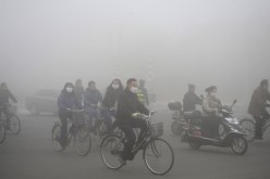 harbin-bikers.jpg