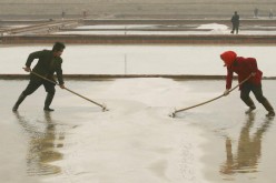 Chinese laborers work at a salt field on the outskirt of Weifang City on April 21, 2006, in Shandong Province of China.