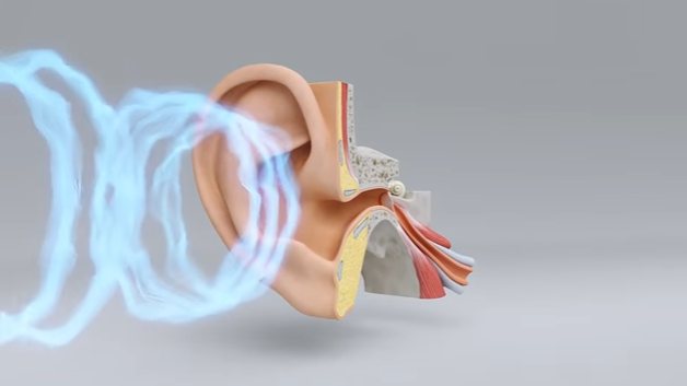 The science of hearing loss