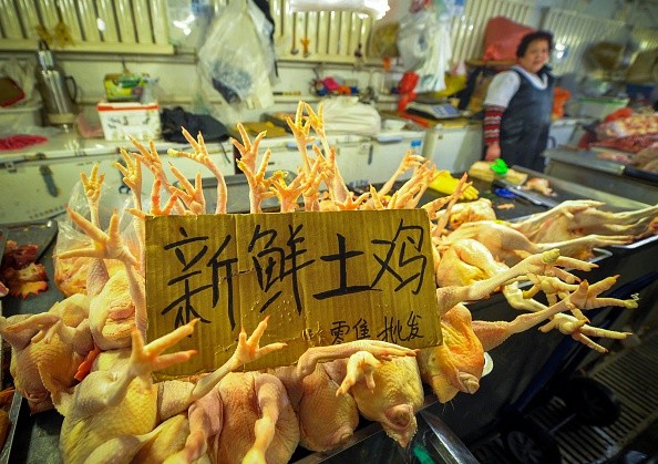 Bird flu has put two more victims in critical condition, but authorities mention no epidemic.