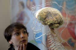 A real human brain being displayed as part of new exhibition at the @Bristol attraction