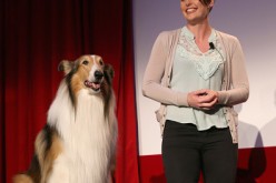 Lassie (L) and animal trainer Chelsea Riggins speak onstage at Man's Best Friend: Dogs in Film panel during day 2 of the TCM Classic Film Festival 2016 