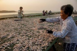Chinese fishermen will face stricter regulations as marine resources are depleting.