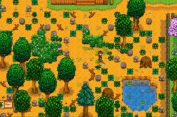 A player character cleans out the farming area in 'Stardew Valley.'