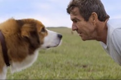 Producers of family movie “A Dog’s Purpose” cancel US premiere and publicity events amid controversy on maltreatment of a dog on set. 