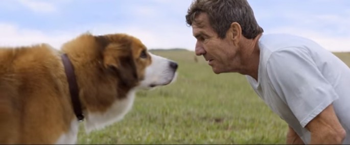 Producers of family movie “A Dog’s Purpose” cancel US premiere and publicity events amid controversy on maltreatment of a dog on set. 