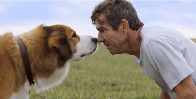 "A Dog's Purpose" film producer Gavin Polone and trainers from Birds and Animals Unlimited have aired their side of the story regarding controversy. 