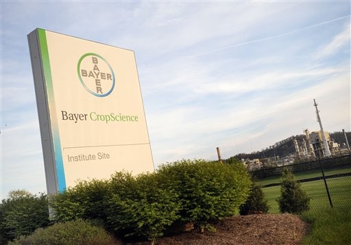Bayer1.jpg