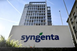 The logo of Swiss pesticide and seed company Syngenta is displayed in front of its headquarters in Basel. 