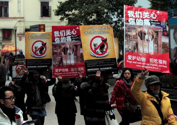 Chinese animal rights activists stage a march with posters calling for people to refrain from eating cats and dogs, in Wuhan, central China's Hubei Province.