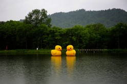 Two scaled replicas of the rubber duck by Dutch conceptual artist Florentijn Hofman are seen floating in a lake at a national park.