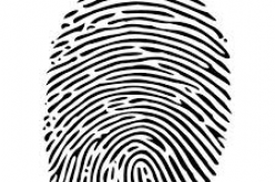 fingerprint