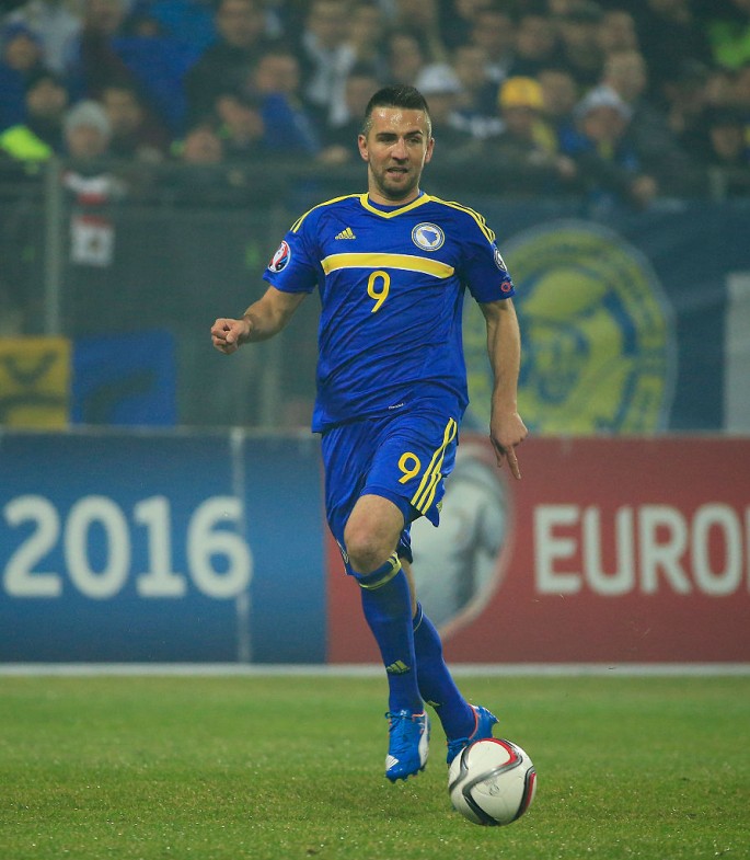 Hertha Berlin and Bosnia captain Vedad Ibisevic.