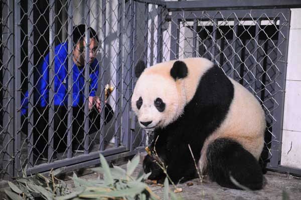Bao Bao the Panda landed in China.