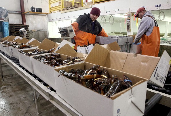 China's Lobster Market