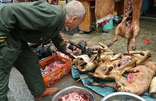 Dog and Cat Meat Banned in Taiwan