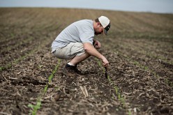 U.S. Farmers File Cases Against Syngenta