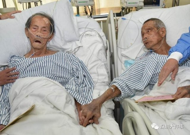 Zhuang Shuifa, 88, and Lin Shuishou, 90, were comrades in arms during the Second World War.