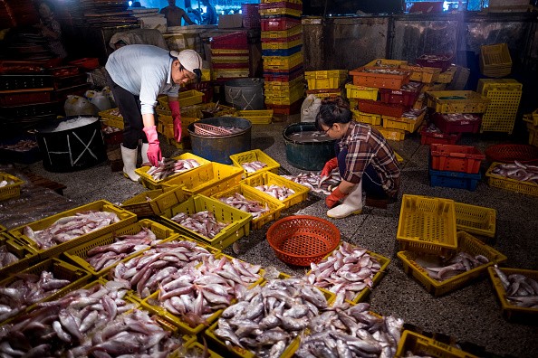 Vietnamese fishermen continue to fish in the South China Sea amid China's ban.