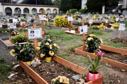 Graves of people who had recently died due to the coronavirus disease (COVID-19) are seen at the cemetery of Nembro, near Bergamo, 