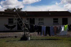  Clothes hang outside to dry behind an apartment as a buzzard flies during the spread of the coronavirus disease (COVID-19) 