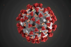 The ultrastructural morphology exhibited by the 2019 Novel Coronavirus (2019-nCoV) is seen in an illustration released by the Centers