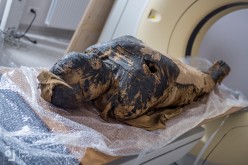 A pregnant Egyptian mummy is pictured during a research work in this undated handout photo.