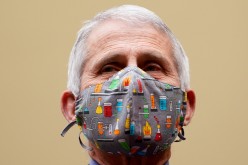 Dr. Anthony Fauci, director of the National Institute of Allergy and Infectious Diseases testifies before a House Select Subcommittee