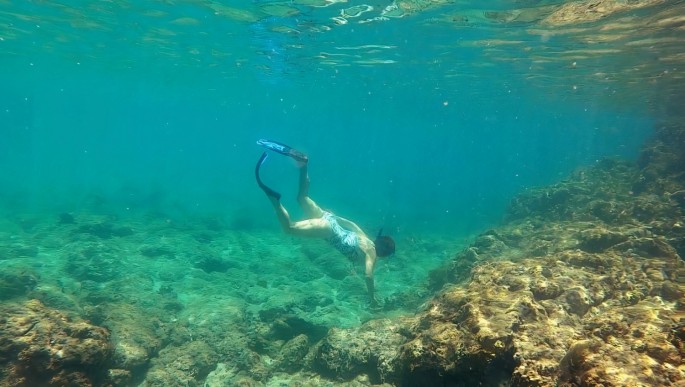 Marine scientist Deborah Brosnan does a research dive on a coral reef, in this undated handout