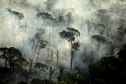 Smoke billows from a fire in an area of the Amazon rainforest near Porto Velho, Rondonia State, Brazil,