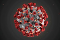 The ultrastructural morphology exhibited by the 2019 Novel Coronavirus (2019-nCoV), which was identified as the cause of an outbreak of respiratory illness first detected in Wuhan, China,