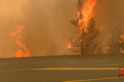 Trees burn along a street during a wildfire in Lytton, British Columbia, Canada