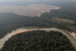 n aerial view shows a river and a deforested plot of the Amazon near Porto Velho, Rondonia State, Brazil 