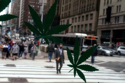 Cannabis stickers on a Weed World store window are pictured the day New York State legalized recreational marijuana use amid the coronavirus disease (COVID-19) pandemic