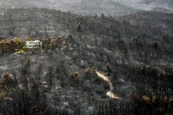 A burnt slope is seen following a wildfire in Varympompi suburb, in Athens, Greece