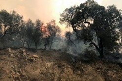 Smoke rises from a forest fire in the mountainous Tizi Ouzou province, east of the Algerian capital,