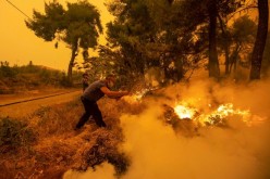 A man uses a tree branch to extinguish a wildfire burning in the village of Pefki, on the island of Evia, Greece,