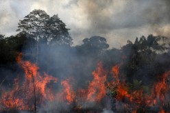 Smoke from a fire rises into the air as trees burn amongst vegetation in the Brazilian Amazon rainforest next to the Transamazonica national highway, in Labrea, Amazonas state