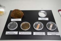 Petri dish containing different steps and procedures by Nanyang Technology University (NTU) to turn durian husks into antimicrobial bandages, with final bandage product juxtaposed against commercial bandage 