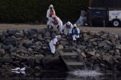 Clean-up crews work to mitigate the damage in an ecological estuary after a major oil spill off the off the coast of California came ashore in Huntington Beach, California, U.S.